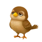 <strong>母雀</strong>