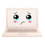 <strong>母雀PC</strong>