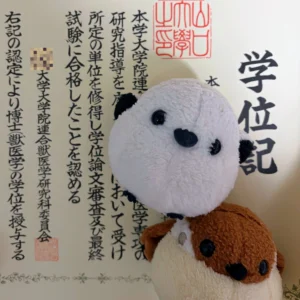 父雀が取得した獣医学博士の学位記の一部。氏名部分は個人情報保護のため非表示。